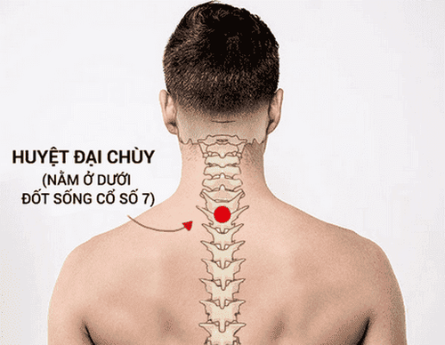 
Huyệt Đại Chùy là một trong các huyệt vùng vai gáy
