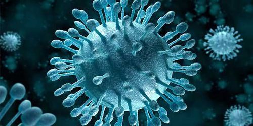 
Nhiễm virus viêm gan C cần được phát hiện và điều trị sớm
