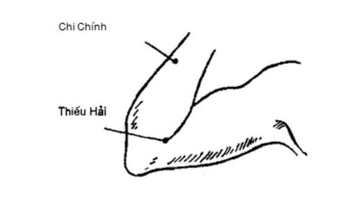 
Huyệt thiếu hải có mối liên kết rất chặt chẽ với rất các chức năng trong cơ thể
