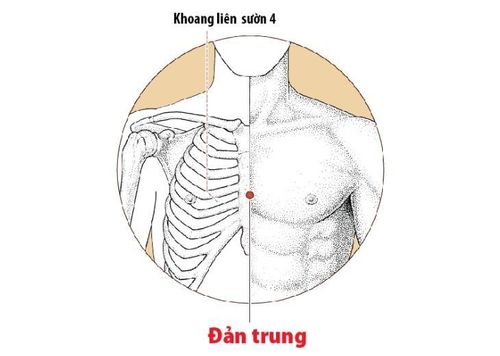 
Huyệt chiên trung (đản trung) cần xác định chính xác trước khi phối hợp huyệt
