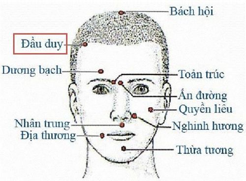 
Huyệt Đầu Duy nằm ở trên đường khớp trán và đỉnh, nằm trong mép tóc ở cả hai bên
