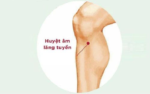 
Huyệt Âm Lăng Tuyền giúp chữa trị bệnh lý xương khớp, tiêu hóa, bài tiết
