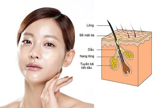 
Khi gặp da nhờn nhiều dầu thì bạn nên lưu ý trong lựa chọn mỹ phẩm
