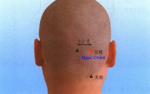 Vị trí và tác dụng huyệt ngọc chẩm