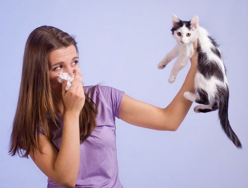 Khi bị ho hen phế quản, không nên đem vật nuôi vào phòng ngủ, là tránh xa giường ngủ