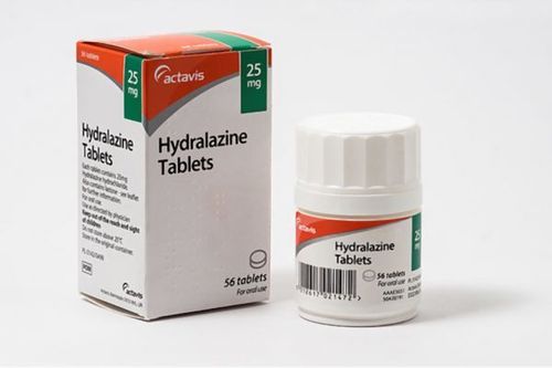 
Hydralazin là loại thuốc giãn mạch trực tiếp gây hạ huyết áp
