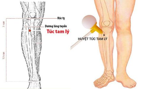 
Người bệnh có thể bấm huyệt chữa suy giãn tĩnh mạch chân với huyệt túc tam lý
