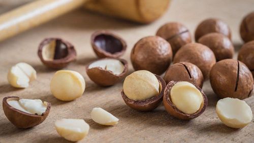 All you need to know about macadamia nuts