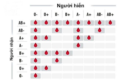 
Nhóm máu B trong sơ đồ truyền máu của hệ thống nhóm máu ABO
