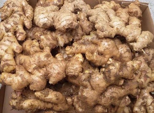 How to preserve fresh ginger