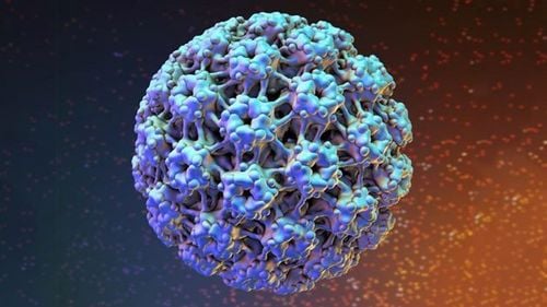 Answer: Can I have sex with HPV?