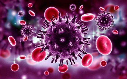 
Một số loại virus có thể ảnh hưởng đến bệnh u lympho ác tính
