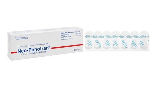 Thuốc Neo Penotran có tác dụng ức chế sự phát triển của nấm