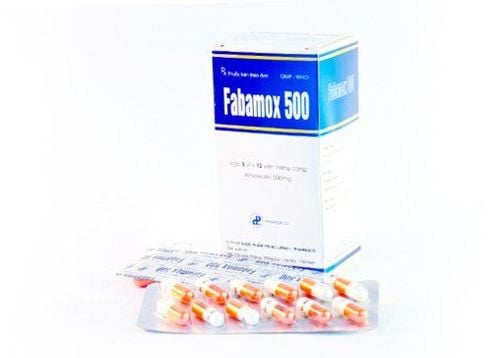 Thuốc Fabamox là thuốc gì?