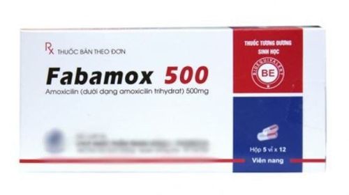 
Thuốc Fabamox được dùng trong điều trị nhiễm khuẩn
