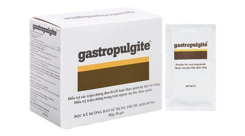 
Gastropulgite cách dùng cần đúng đối tượng và chỉ định
