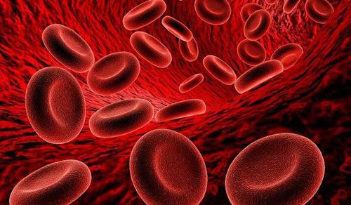 Coping with acute blood loss syndrome