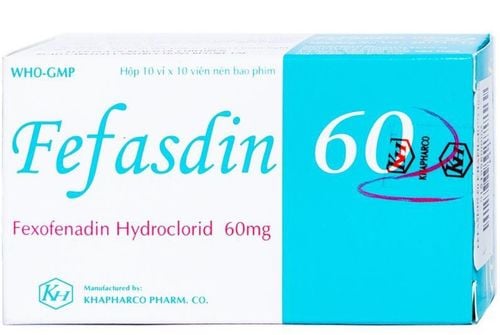 What is Fefasdin 60 used for?