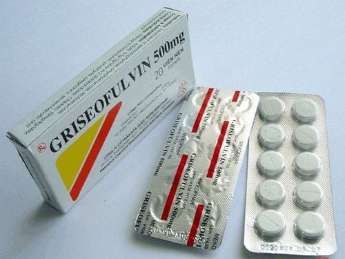 
Griseofulvin là một trong các thuốc kháng sinh chống nấm
