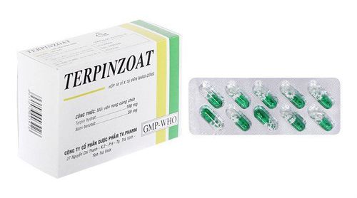 What are the uses of Terpinzoat?