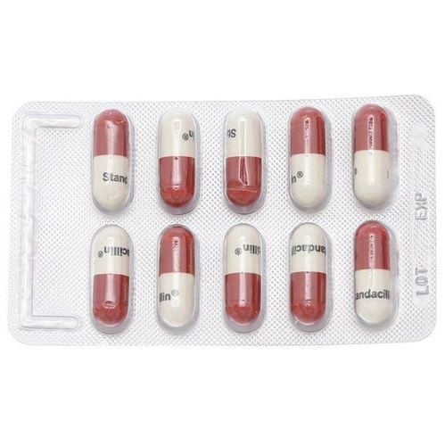 
Standacillin hay được chỉ định để điều trị nhiễm trùng do các vi khuẩn nhạy cảm gây ra
