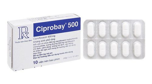 
Thuốc Ciprobay cần được dùng theo chỉ định của bác sĩ
