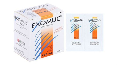 The expectorant effect of Exomuc