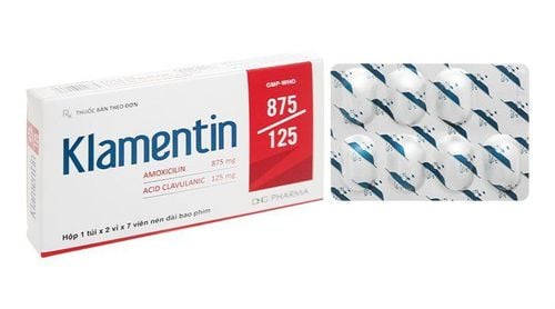 What are the uses of Klamentin 875/125?