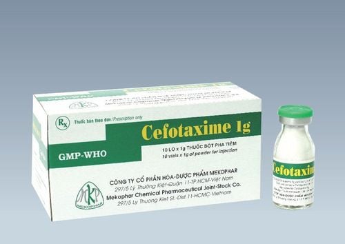 What is Cefotaxime?