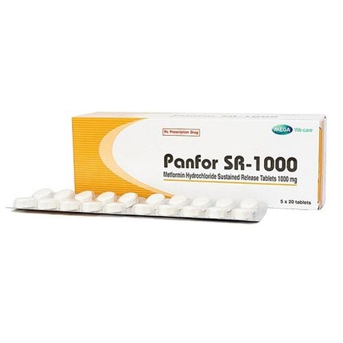 What is Panfor sr 1000?