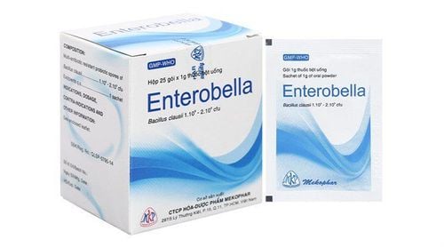 Thuốc Enterobella trị bệnh gì?