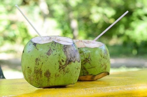 Health benefits and risks of coconut water