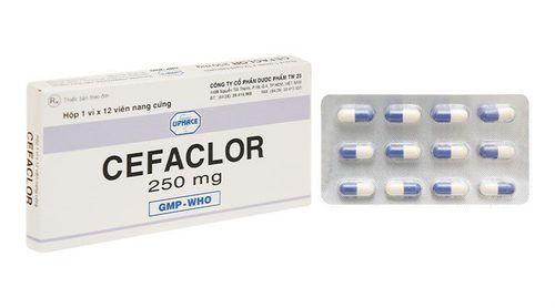 What is Cefaclor 250mg used for?