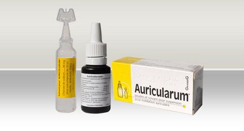 Uses of Auricularum