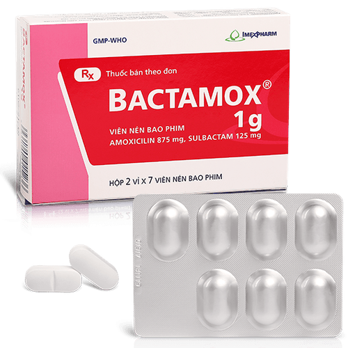 Bactamox 1g là thuốc gì?