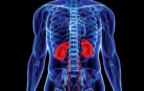 Living with chronic kidney disease