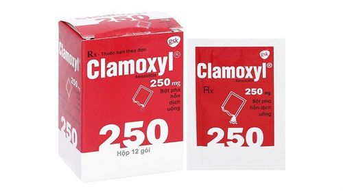 What is Clamoxyl 250mg?