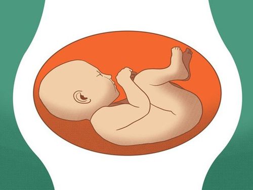 Ngôi thai ngang nên mổ ở tuần bao nhiêu?