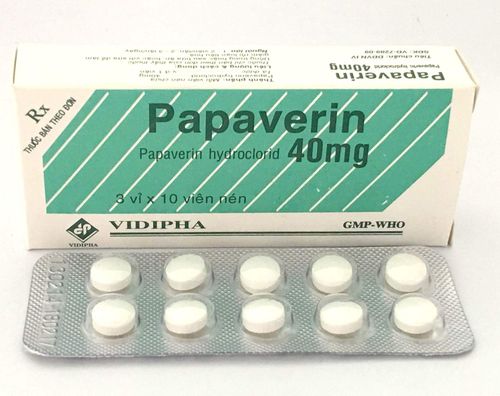 Công dụng thuốc Papaverin 40mg