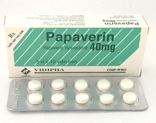 Uses of Papaverin 40mg