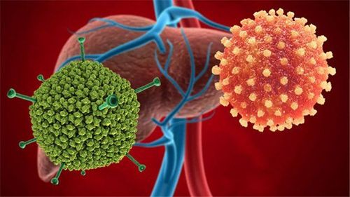 Viêm gan cấp tính và nhiễm virus Adenovirus ở trẻ em