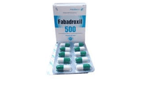 Công dụng thuốc Fabadroxil 500