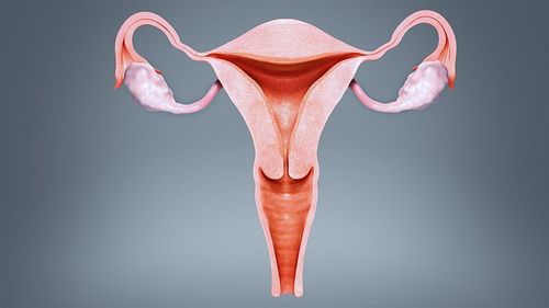 Người dính tử cung có thể làm IVF không?