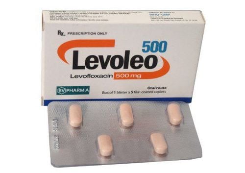 Uses of Levoleo 500