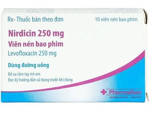 Công dụng thuốc Nirdicin 250mg