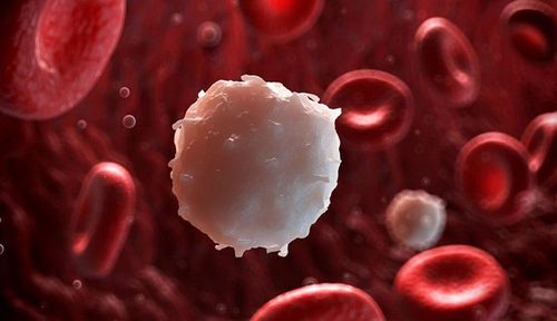 Leukemia: The Basics