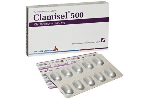 Uses of Clamisel 500