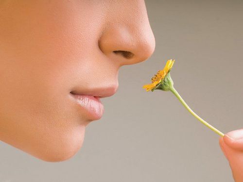 Ways to regain the sense of smell