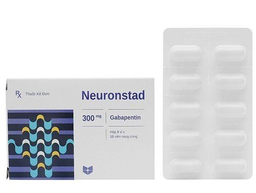 Uses of Neuronstad