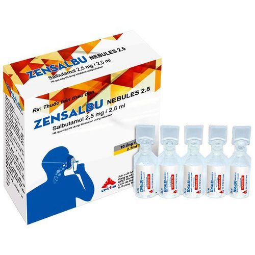 Uses of Zensalbu nebules 2.5